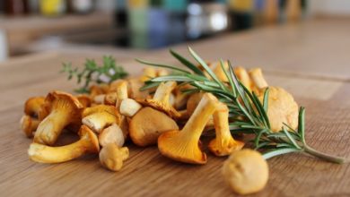 chanterelles