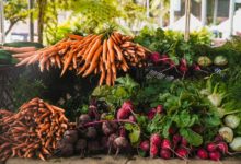 planting for winter vegetables