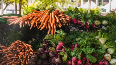 planting for winter vegetables