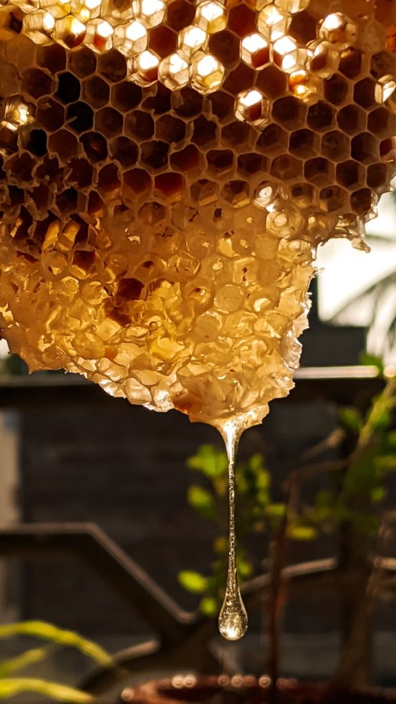 beeswax uses for skin