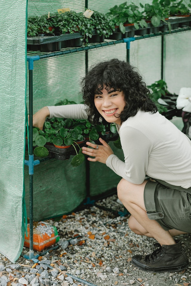 greenhouse for winter